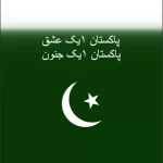 Pakistan Armed Forces and Their Types 2 Pakistan Armed Forces