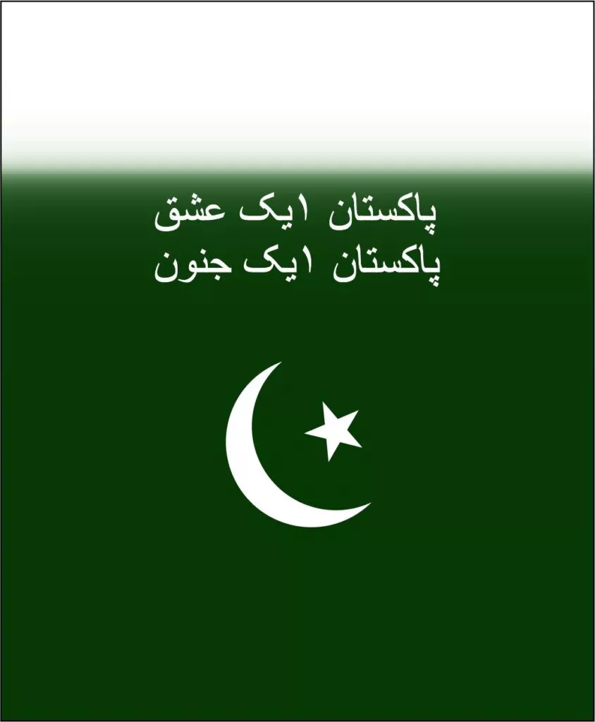 Pakistan Armed Forces and Their Types 2 Pakistan Armed Forces