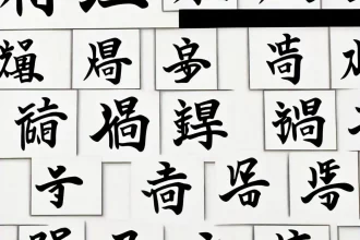 Difficult Language to Learn 6 Difficult Language to Learn