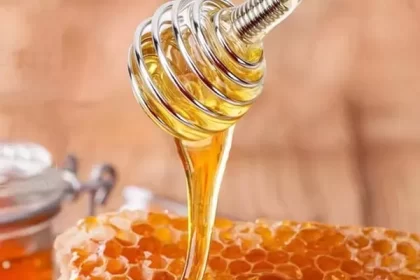 Lets Taste Nature’s Golden Gift 1 Lets Taste Nature’s Golden Gift