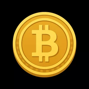 The Future of Digital Payments 7 Bitcoin